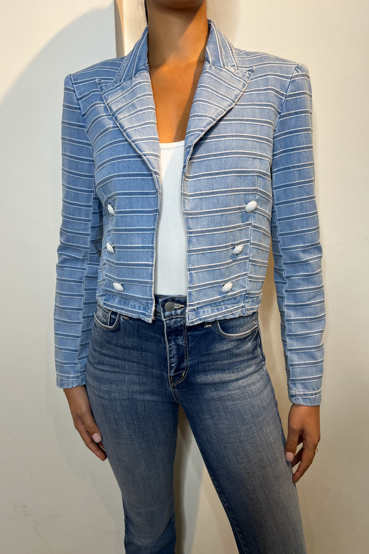 Dolly Crop Blazer Stripe