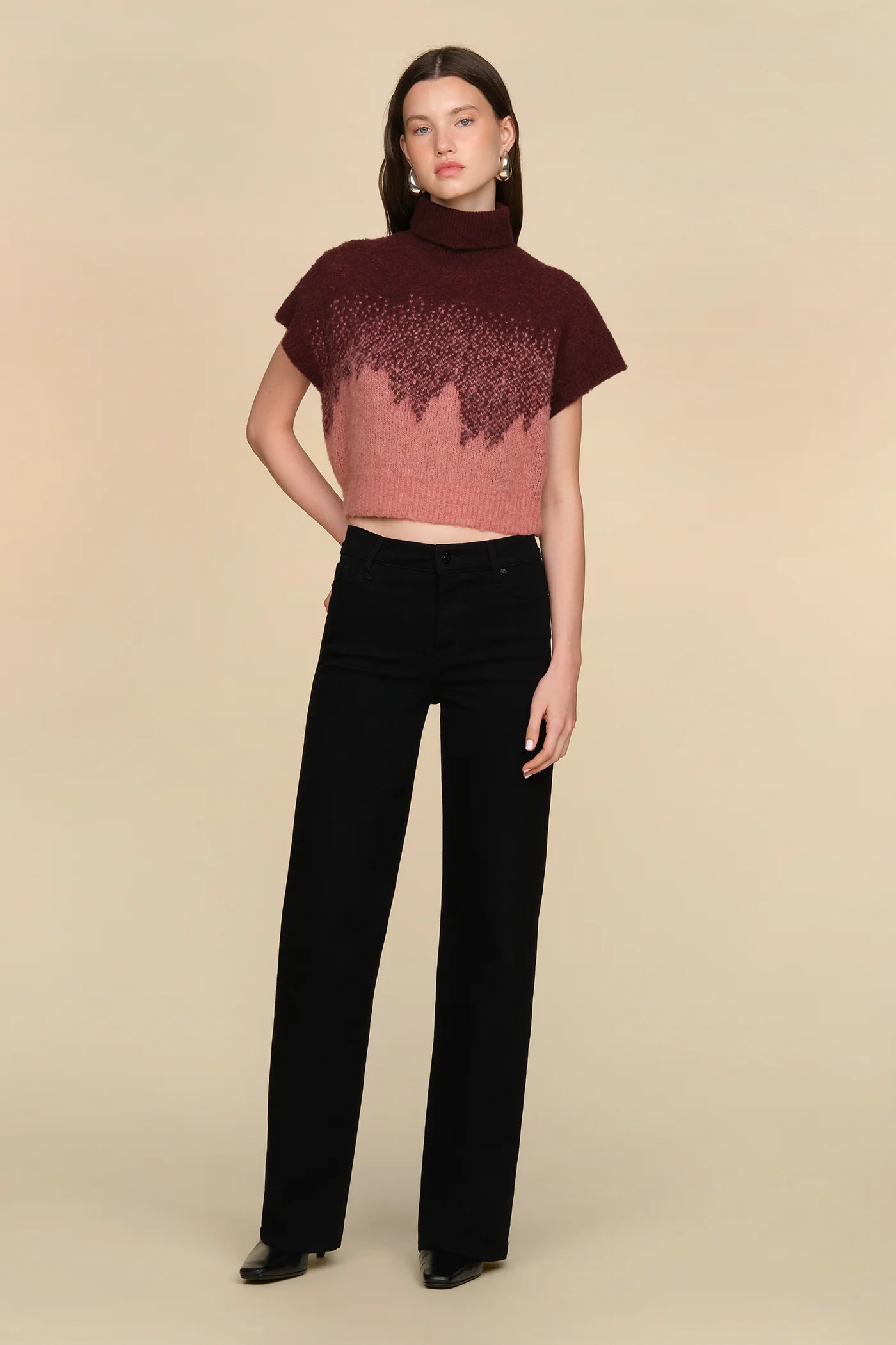 Amur Harper Ombre Knit Top