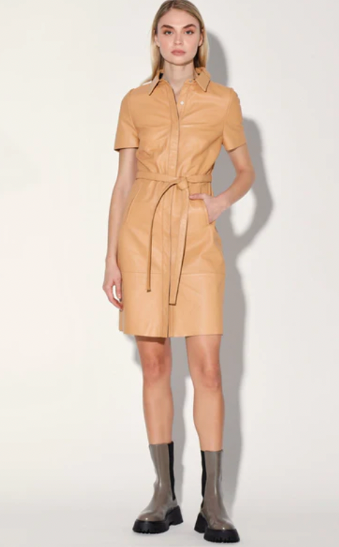 Chloe Dress