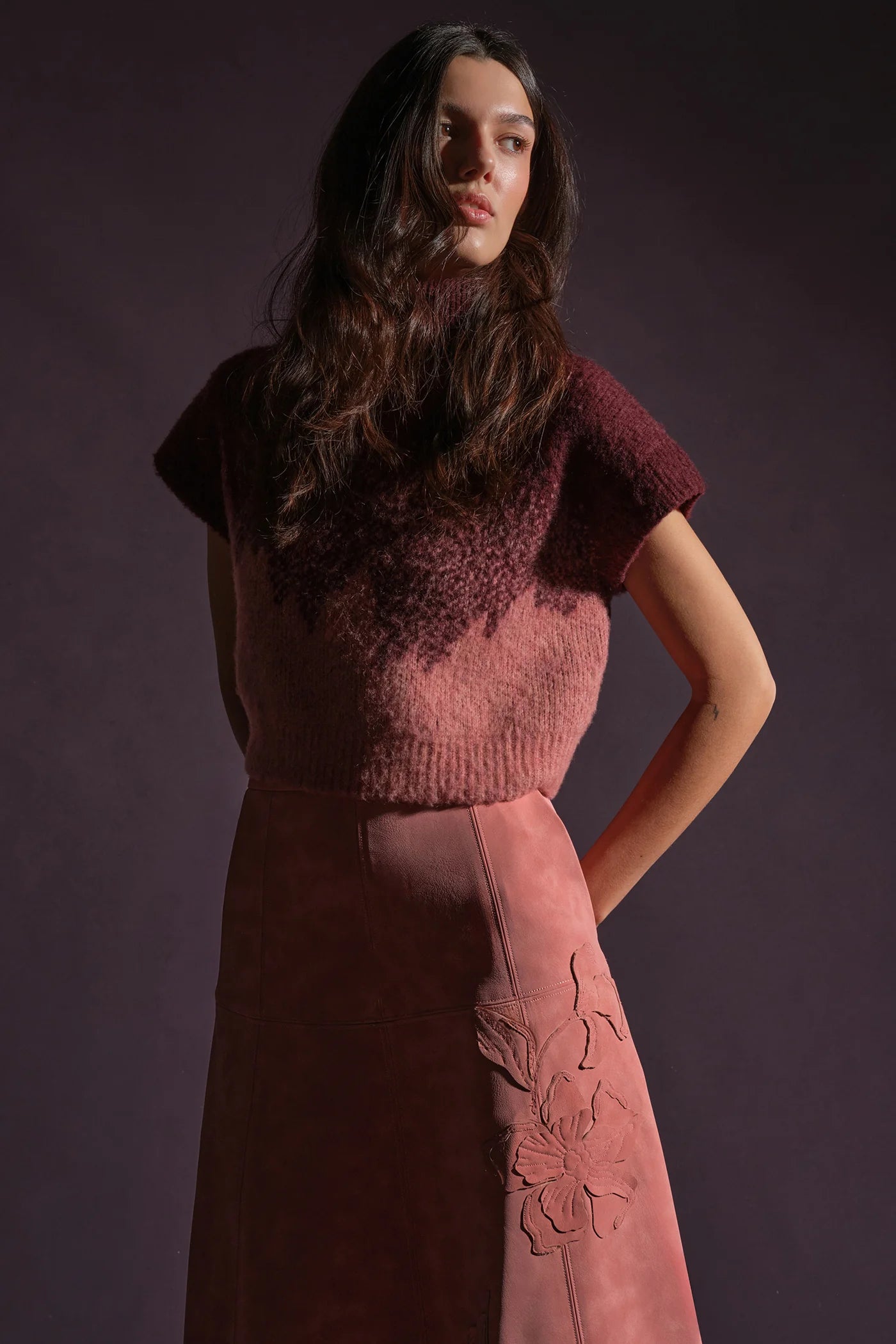 Amur Harper Ombre Knit Top