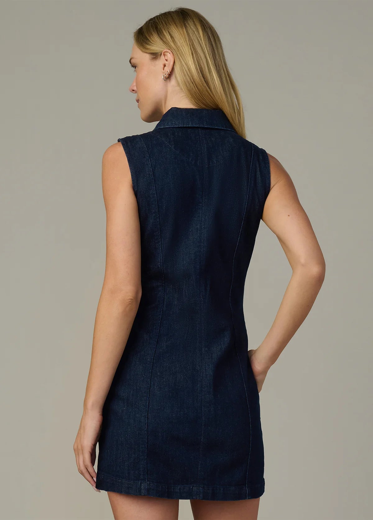 Joe's The Irina Dress
