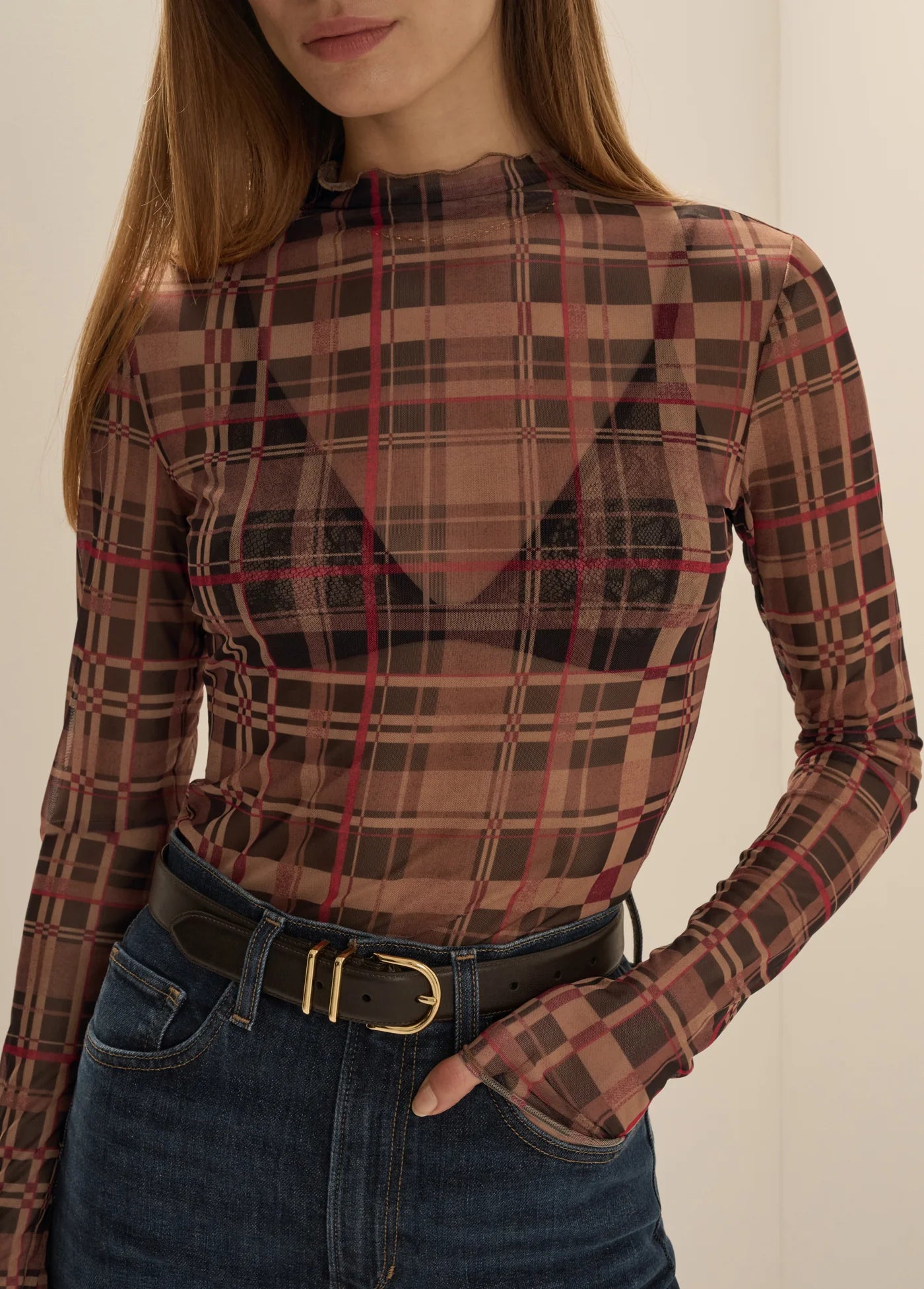 Favorite Daughter The Sheer Fantasy Top