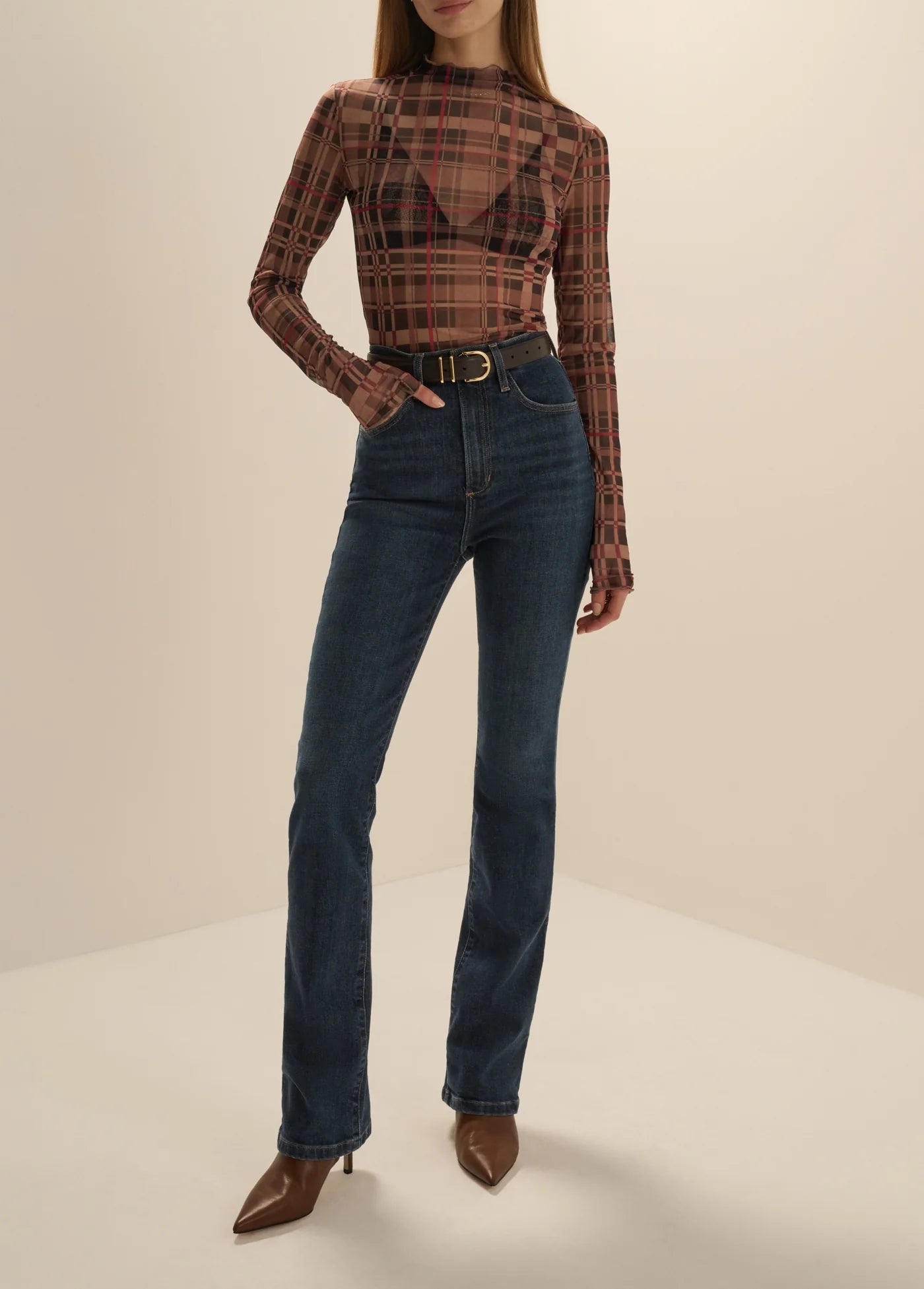 Favorite Daughter The Sheer Fantasy Top