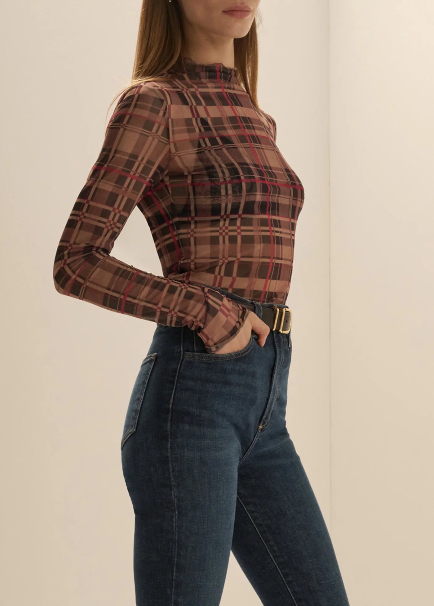 Favorite Daughter The Sheer Fantasy Top