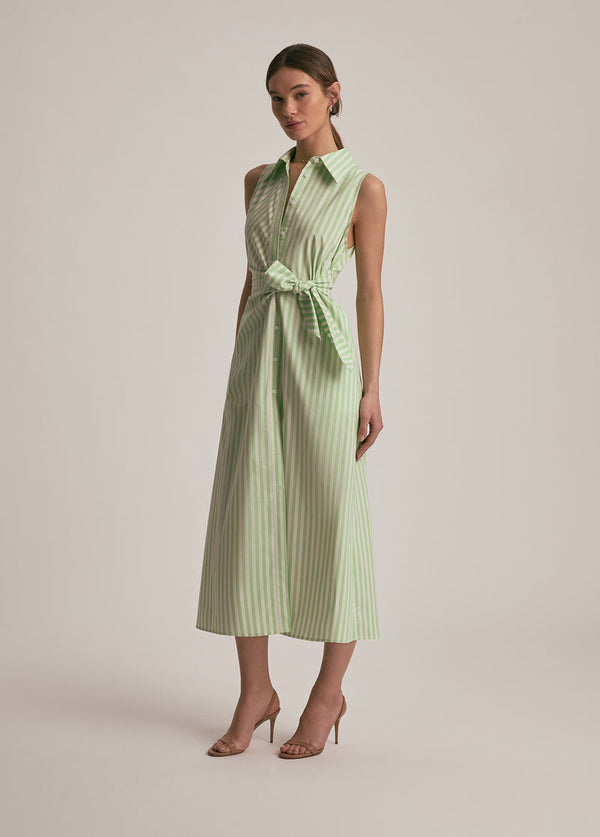 The Good Behavior Dress