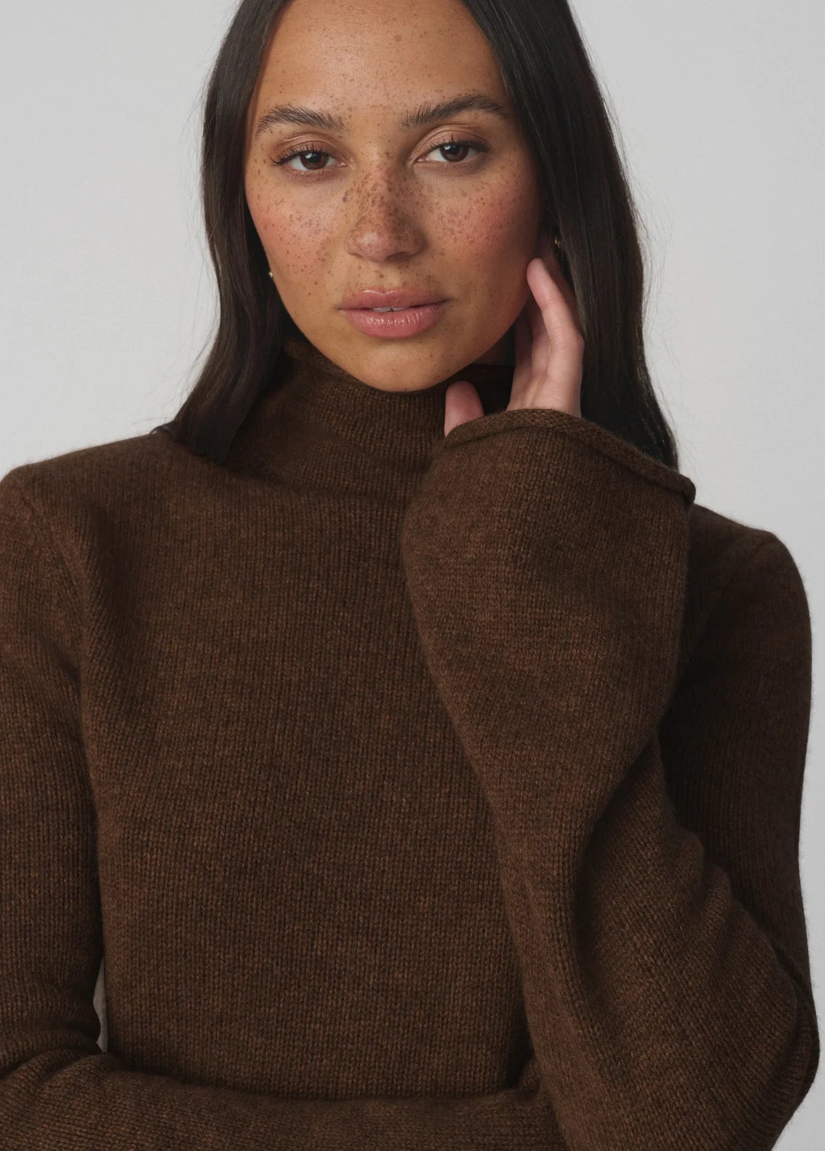 Joe's Jeans The Jane Roll Neck Sweater - Cinnamon