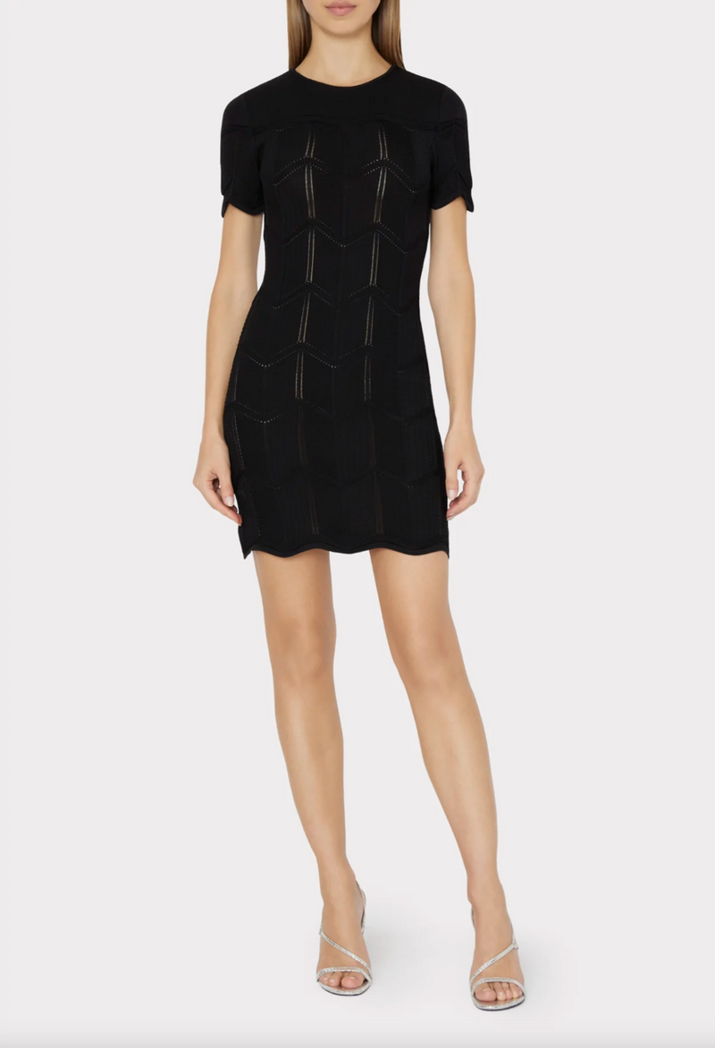 Zig Zag Pointelle Fit and Flare Dress